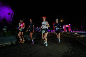 BIB: 
                            <button type="button" onclick="openModal(26552556)" class="btn btn-primary btn-sm float-right btn-popup" data-toggle="modal" data-target=".modal-high-quality">
                        <i class="fas fa-shopping-cart"></i> Add to Cart
                    </button>
                                            <button type="button" onclick="isThisMe(26552556, true)" class="btn btn-success btn-sm float-right btn-popup btn-isme hidden" data-toggle="tooltip" data-placement="bottom" title="นี่คือรูปของคุณใช่ไหม คลิกที่นี่เพื่อเอาเข้าอัลบั้ม">
                        <i class="fas fa-plus"></i> Add to album
                    </button>
                    <button type="button" onclick="isThisMe(26552556, false)" class="btn btn-warning btn-sm float-right btn-popup btn-isnotme hidden">
                        <i class="fas fa-ban"></i> Remove from album
                    </button>